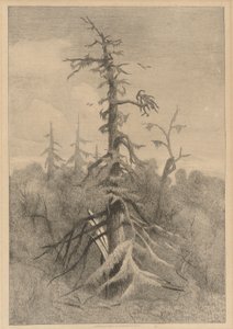 Gamla träd på Naushon Island av Robert Swain Gifford