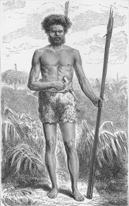 Född i Australien, c1885, 1890 av Robert Taylor Pritchett