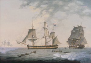 Valfångst i Arktis av Robert Willoughby