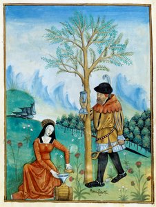 The Balm Recolation. En man samlar ihop hartset, eller seven, som rinner från ett träd (Flora: balsamier), som används för medicin, medan en kvinna lägger det i en tunna. Miniatyr i "" Book of simple doctors"" (Folio 187v) v.1520-1530. Enlumine av Testard 