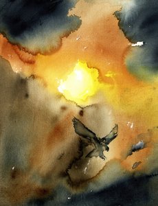 En örn som svävar i solnedgången av RodMacIver