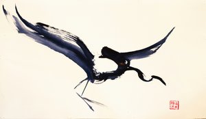  av RodMacIver