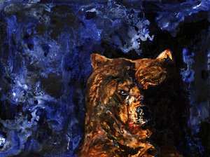 Grizzlyns intensiva blick