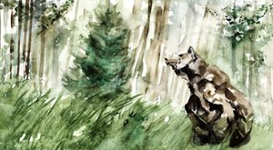 Vild skogsbjörn av RodMacIver