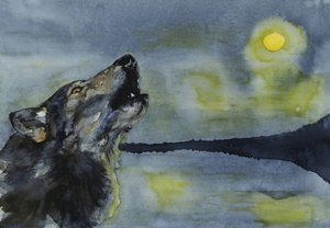 En varg som ylar mot månen av RodMacIver