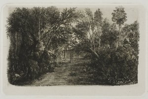 Bäcken av Rodolphe Bresdin