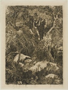 Skogen Fontainebleau av Rodolphe Bresdin