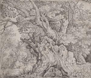 Knotiga träd, ca. 1608-09.