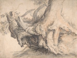 Studie av ett träd, ca. 1606-7.