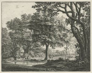 Rådjur i Haagskogen Faces in the Haagse Bos (serietitel)