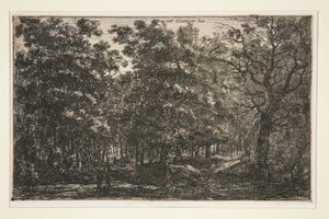 Int Seuniger Bos av Roelant Roghman