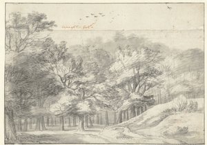 Utsikt i Haagse Bos av Roelant Roghman