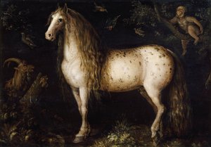 Den plackgrå, ca. 1625-1630