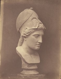 Minervas huvud [trekvarts vy] av Roger Fenton