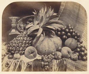  av Roger Fenton