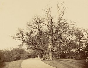  av Roger Fenton