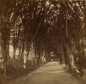 Den mörka promenaden; Stonyhurst