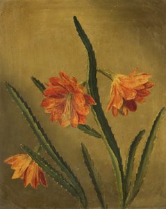 Studie av blommor (olja på duk)