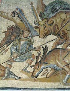 Strid mellan gladiatorer och djur, detalj av en gladiator som spjuter en tjur, 320 AD (mosaik) av Roman
