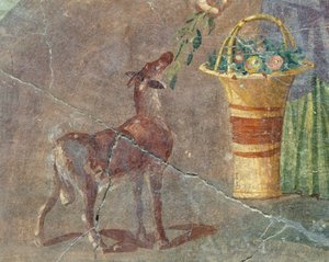 Get och fruktkorg, fresk från Pompeji, Kampanien, Italien, romersk civilisation av Roman