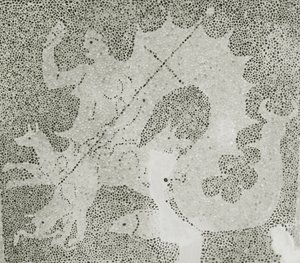 Hellenistisk stenmosaik Mosaik av Scylla och Charybdis som bevakar sundet, detalj av Scylla. Dionysos hus, Paphos, Cypern mosaik av Roman
