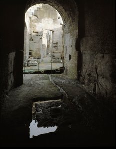 Romersk konst: utsikt över de underjordiska passagerna i Colisee (Colosseo) i Rom, Italien av Roman