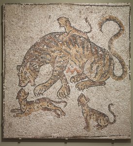 Tigress och ungar, ca 300 e.Kr av Roman