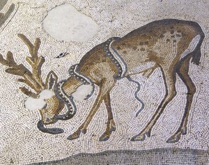 Okänd bild av Roman