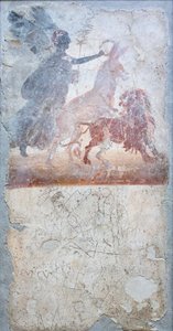 En åsna som penetrerar ett lejon kröns av gudinnan Victoria, under en graffito med gladiatorstrid, butiksinskription av Roman Roman