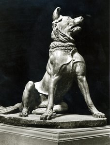 Bullmastiff Dog (marmor) av Roman Roman