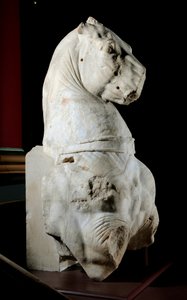 Främre delen av en häst (marmor) (se även 371183 & 371184) av Roman Roman