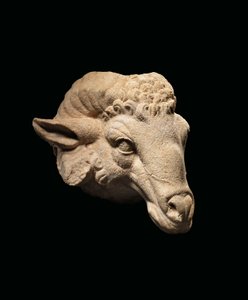 Huvud av en bagge, ca 1:a århundradet f.Kr. - 1:a århundradet e.Kr. (marmor) av Roman Roman