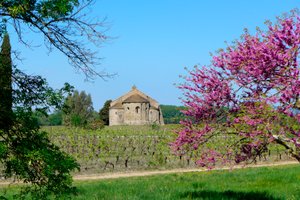 Romanska kapellet Saint-Etienne de Vaissiere i Azille (foto) av Romanesque