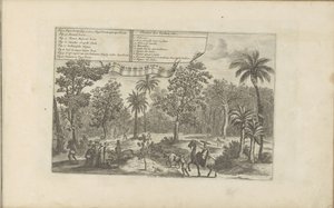 Bomen en specerijen Indiska växter, etc / Indiaensche kruyden, etc (titel på objekt) Öst- och Västindien och andra platser (serietitel) av Romeyn de Hooghe