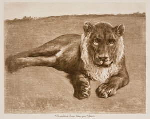 Lejon av Rosa Bonheur
