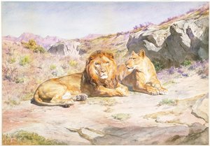  av Rosa Bonheur