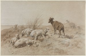 Får av Rosa Bonheur