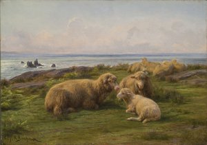 Får vid havet av Rosa Bonheur
