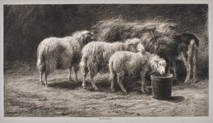 Fårfålla av Rosa Bonheur
