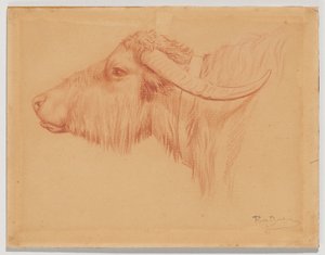 Vattenbuffel av Rosa Bonheur