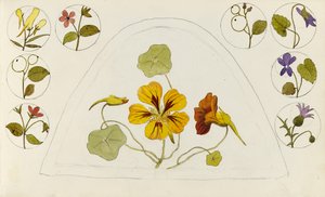 Motivering med krasse och andra blommor av Rosa Brett