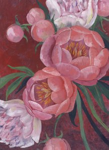 Eleganta rosa pioner av Rosana Laiz Blursbyai