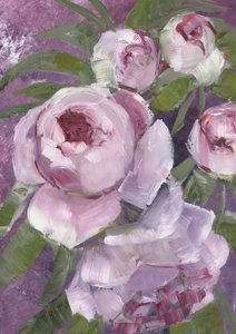 Måleriska rosa pioner