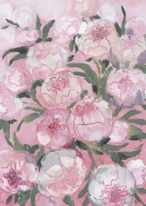 Mjukt rosa pioner