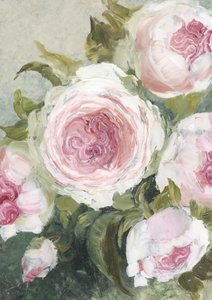 Mjukt rosa rosor