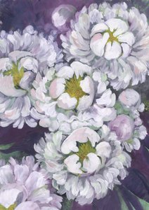 Blommande vit pion av Rosana Laiz Blursbyai