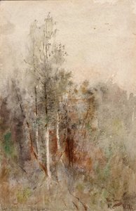 En trädstudie av Ross Turner