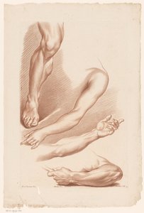 Tre armar och ett ben Principles of Drawing from Nature, del sju (serietitel) VIIe Cahier de Principes du Dessin d