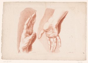 Två händer Principer för att rita från naturen, del åtta (serietitel) VIII:e Cahier de Principes du Design d