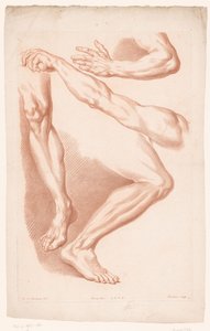 Olika vyer av två ben och två armar Principles of Drawing from Nature, del sju (serietitel) VIIe Cahier de Principes du Dessin d